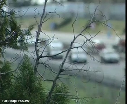 Operación salida, tranquila