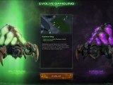 Starcraft II : Mode Solo Heart of the Swarm