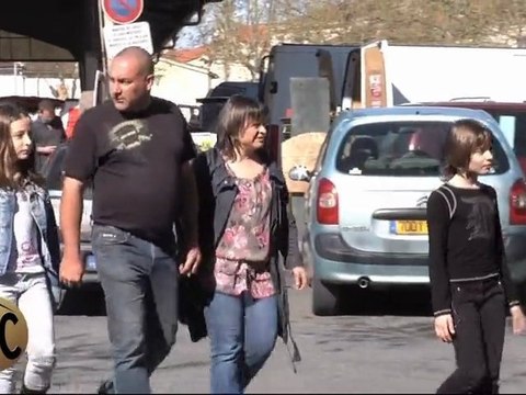 Immobilier Albi - Agence Immobilière du Castelviel