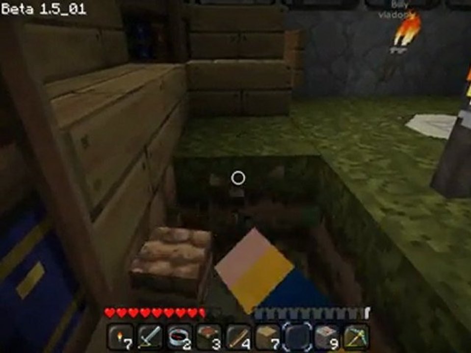 Minecraft: Coté Cube 2: Une zoli maison :3