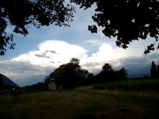 20110530 - Reg au trot ... c'est pas mieux