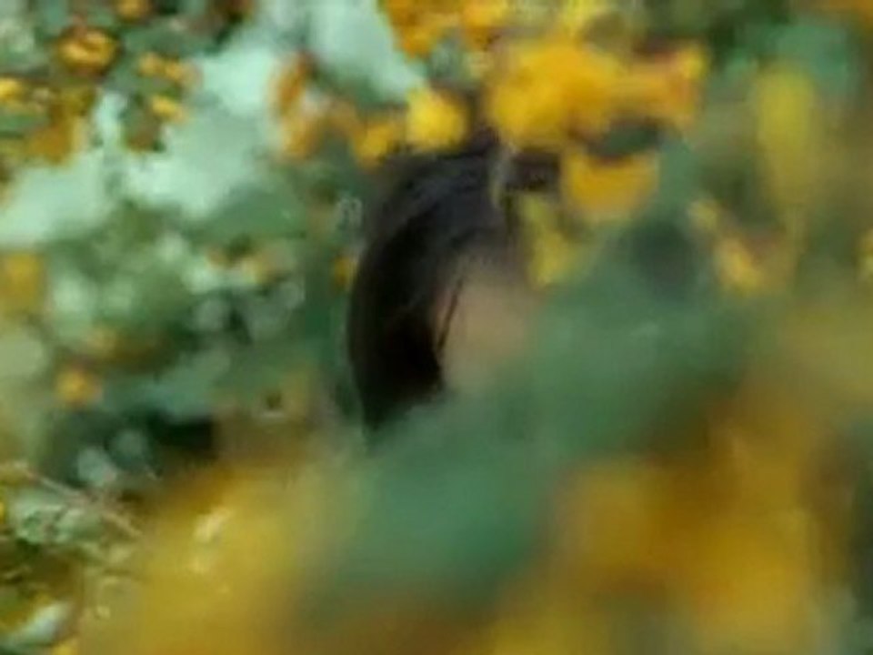 Kanmoodi Thirakumbothu - sachien