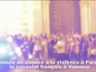 Manifestación consulado francés. Acampada valencia. 29/05