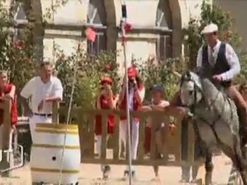 Le cheval lusitanien au Haras de la Roche-sur-Yon