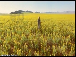 'Viaje Mágico a África' en 3D