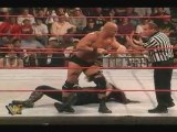 WWF-The Undertaker vs Stone Cold Steve Austin (2-3)