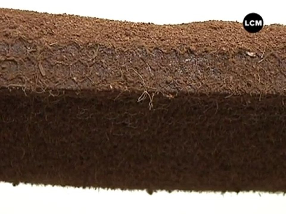 Expo: des sculptures en noix de coco! (Marseille)