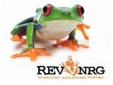 RevvNRG Direct Sales Opportunity | RevvNRG Direct Sales Business