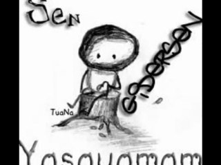 herseyim