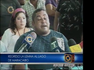 Lemna en Lago de Maracaibo