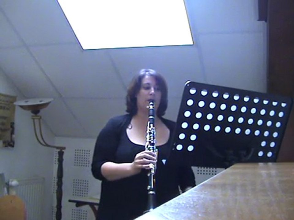 SOIR DE LUNE CLARINETTE Christine MARTY-LEJON/Jean-Claude SOLDANO EDITIONS SOLDANO