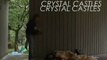 Crystal Castles - Magic Spells
