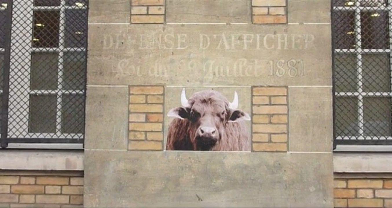 Affichage "sauvage" 4, les animaux dans les rues de Paris.