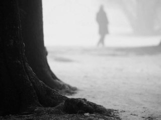 IN FRA RED: "Brumes"