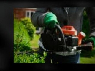 The very best tree service Atlanta