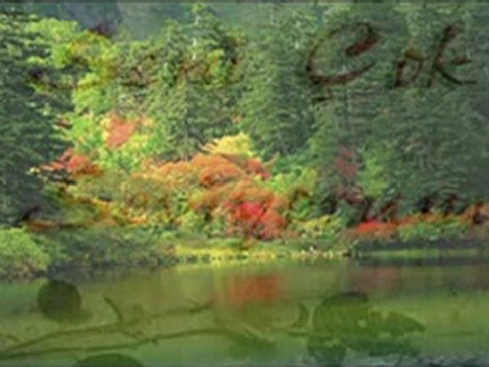 tual - pencere