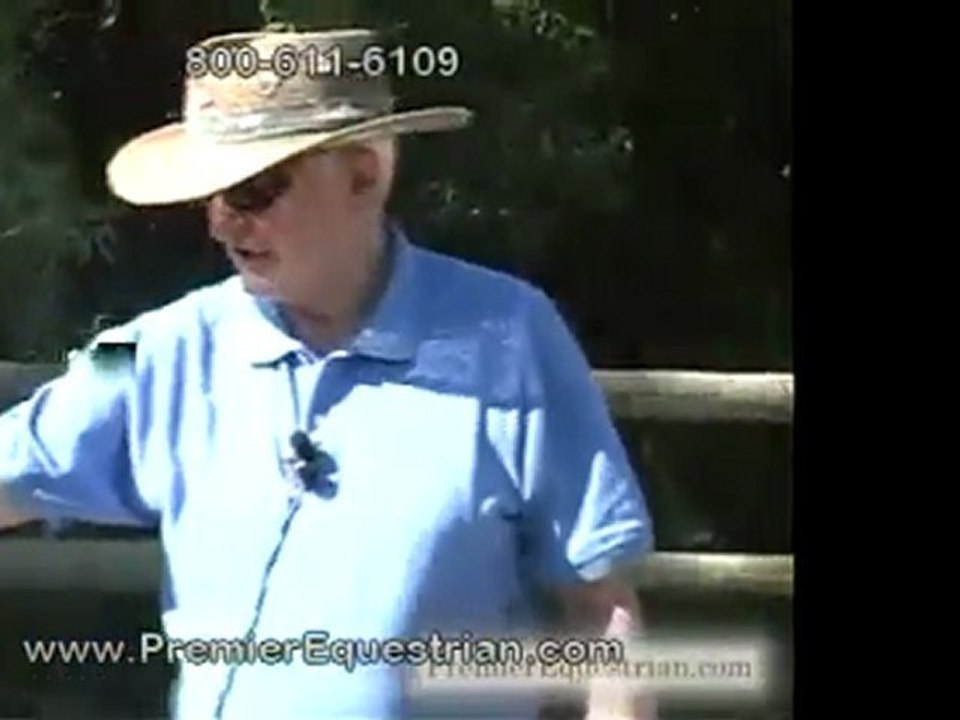 How to Space Cavaletti - Cavaletti Training