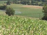 Francia: prevén graves pérdidas en cultivos debido a la sequía