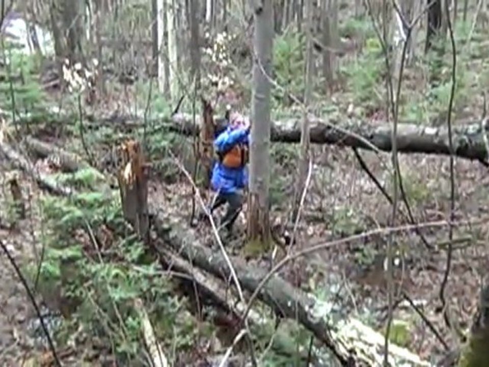 2011-05-14 ours 1