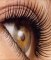 Idol Lash eyelash enhancer, grow thicker longer eye lashes and eye brows in weeks FREE package offer