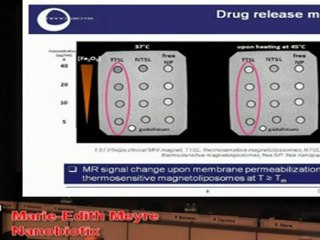 Marie-Edith Meyre - Thermosensitive magnetoliposomes for MRI-guided drug delivery