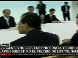 Japón subestimo el peligro de los tsunamis