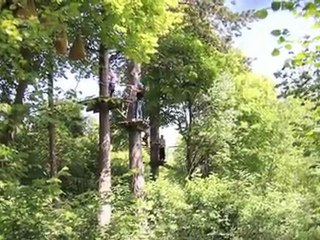 Sortie accrobranche au Parc Canopée