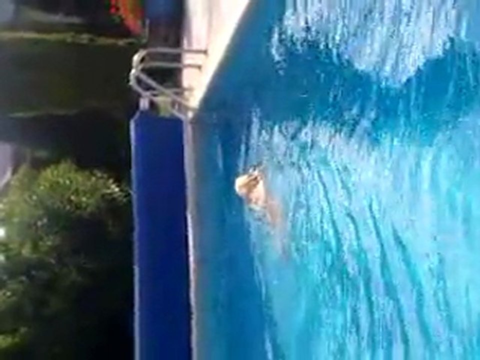 Achille piscine
