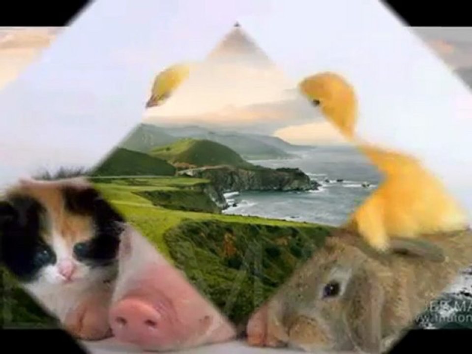 Thaly Sauver la Terre