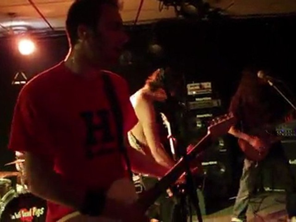 The Half Dead Pigs - Politique