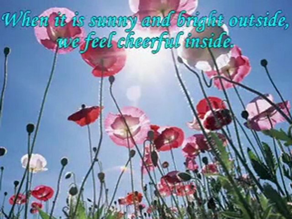 Enchantment - CHRIS SPHEERIS