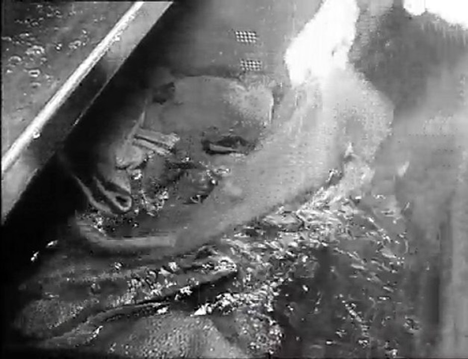 Streiflichter österreich 1965