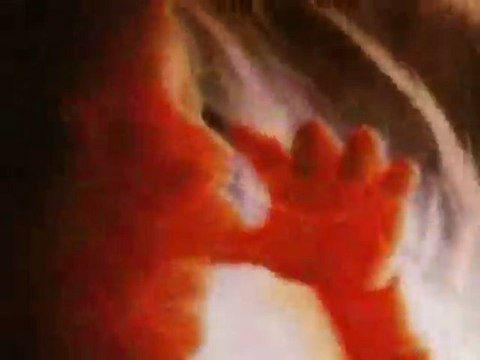 Cacophonist A Warm Place (Hypnogogia Mix ) Music Video A Tribute to Nine Inch Nails