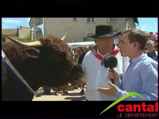 20ème fête de l'estive à Allanche (vol.2)