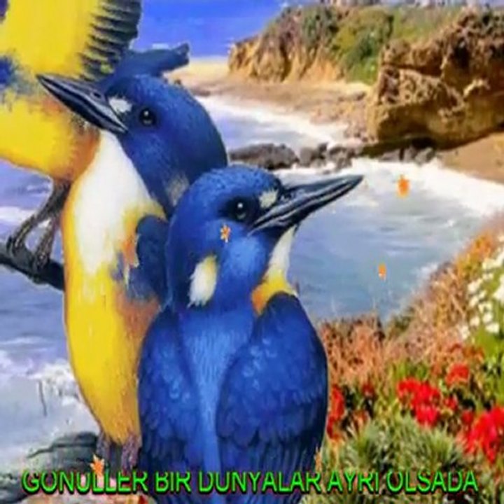 SAZLAR ÇALINIR ÇAMLICANIN BAHÇELERİNDE - ENSTRUMANTAL