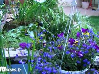 Rendez vous aux jardins