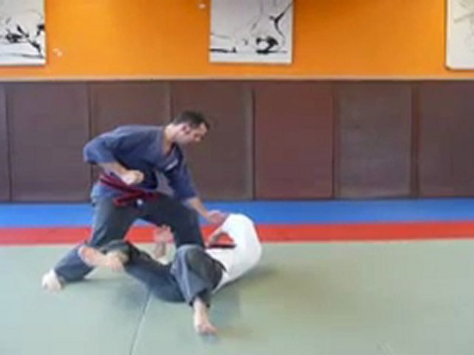 goshin jutsu associations VLR 94290 / NLG 93160