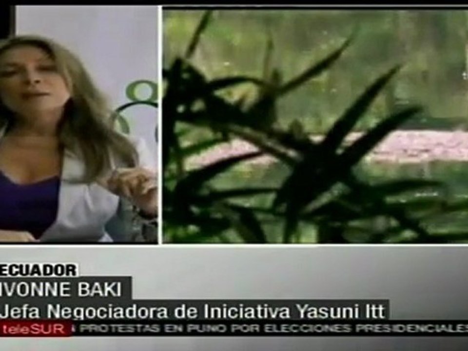 Crisis esconómica causó retraso aportes a Iniciativa Yasun