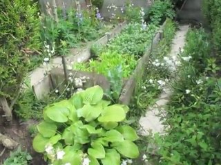Valenciennois : les jardins ouvrent leurs portes ce week-end