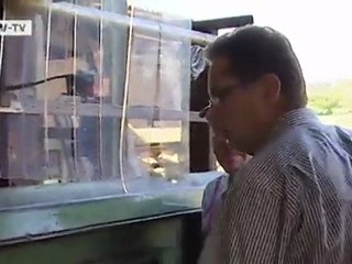 Poor Payment Morale Threatens Businesses | Made in Germany