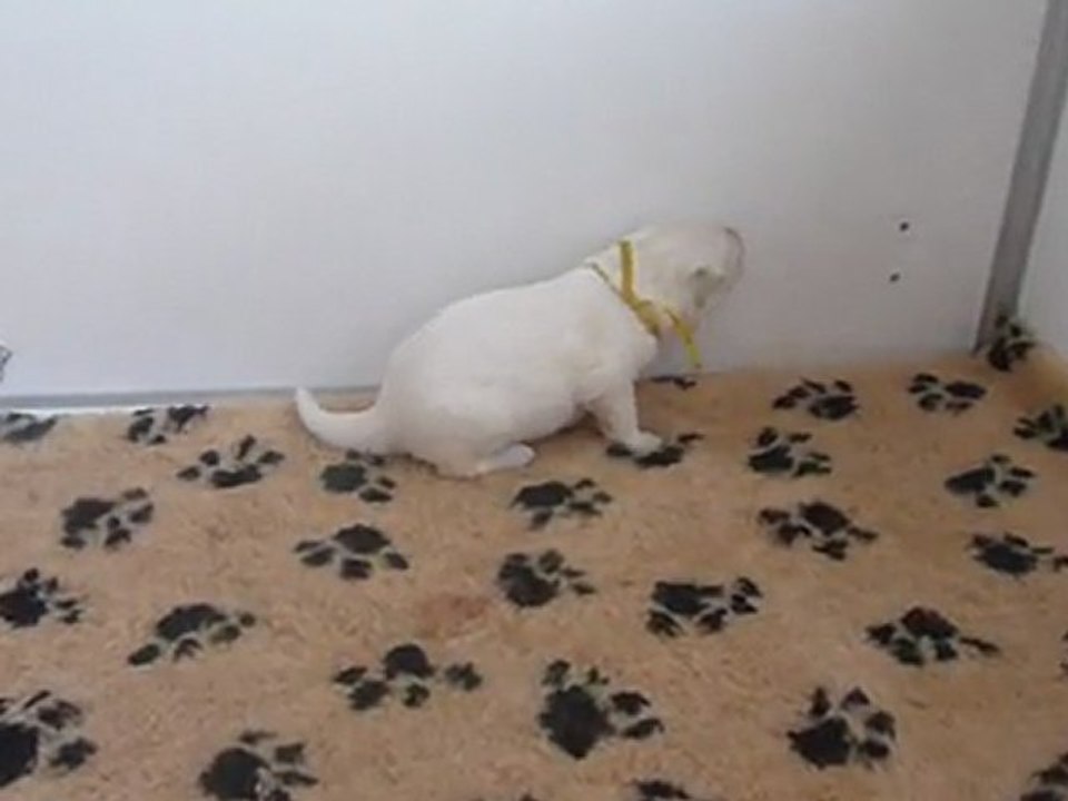 Bébés Daelynn& Heaven