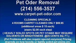 Dallas tx pet odor carpet cleaning For Your House And The En