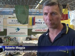 Arabic-Web-Fishing differently to save the oceans