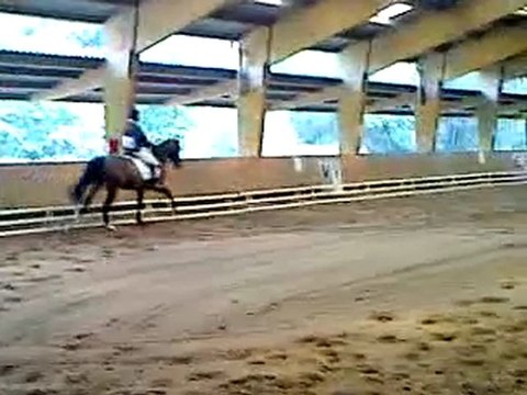 Dressage CCE Le Havre Rouelles- 29/05/2011