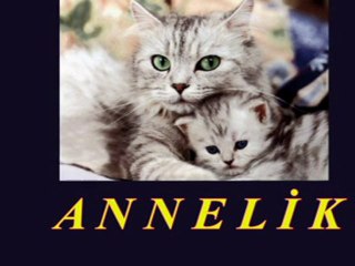 ANNE KEDİ VE ANNELİK