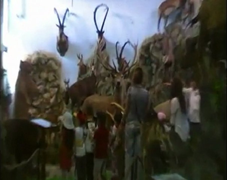 EKOL ANAOKULU  MÜZE GEZİMİZ