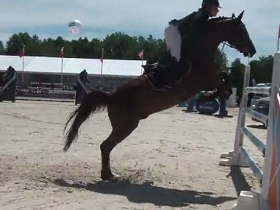 29.05.2011.zb.CSI.3etoiles.borry