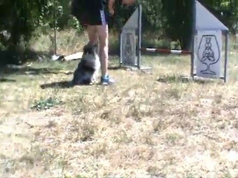 Entraînement Agility Chez Cani-Kazes le 28 Mai 2011