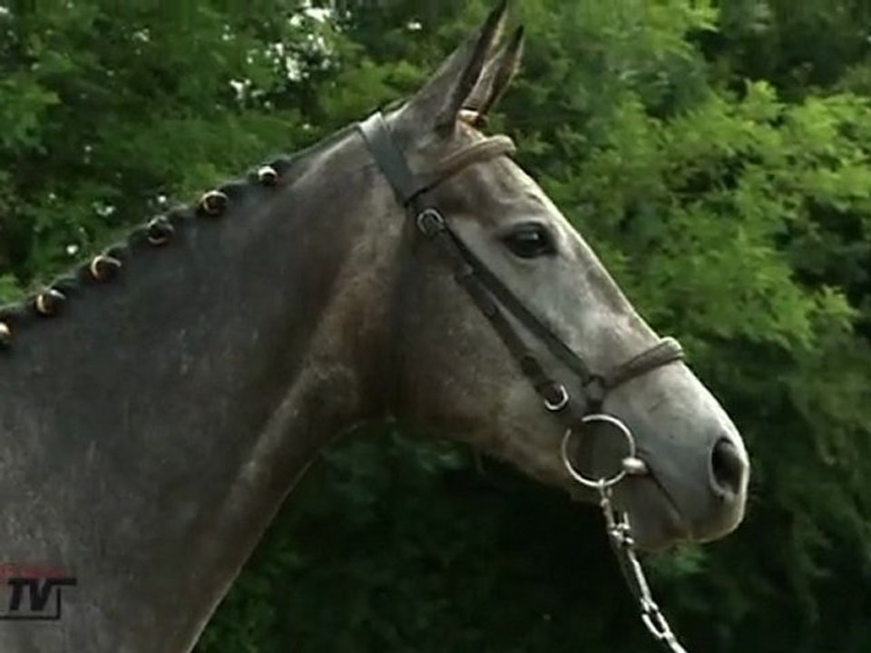 Concours AQPS de Cercy La Tour (58)