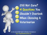 Tampa Florida Veterinarian and Tampa Florida Veterinary Care